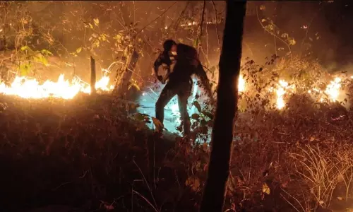 Odisha Sees Surge in Forest Fires Amid Rising Heat