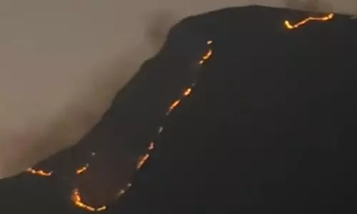 Forest Fires Rage in Western Ghats, Raise Ecological Alarm