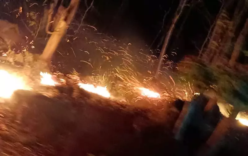 Odisha Deploys Drones, AI Surveillance to Tackle Widespread Forest Fires