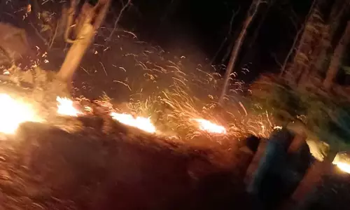 Odisha Deploys Drones, AI Surveillance to Tackle Widespread Forest Fires