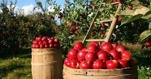 Pune Trader Receives Threat After ‘Boycott Turkey’ Call