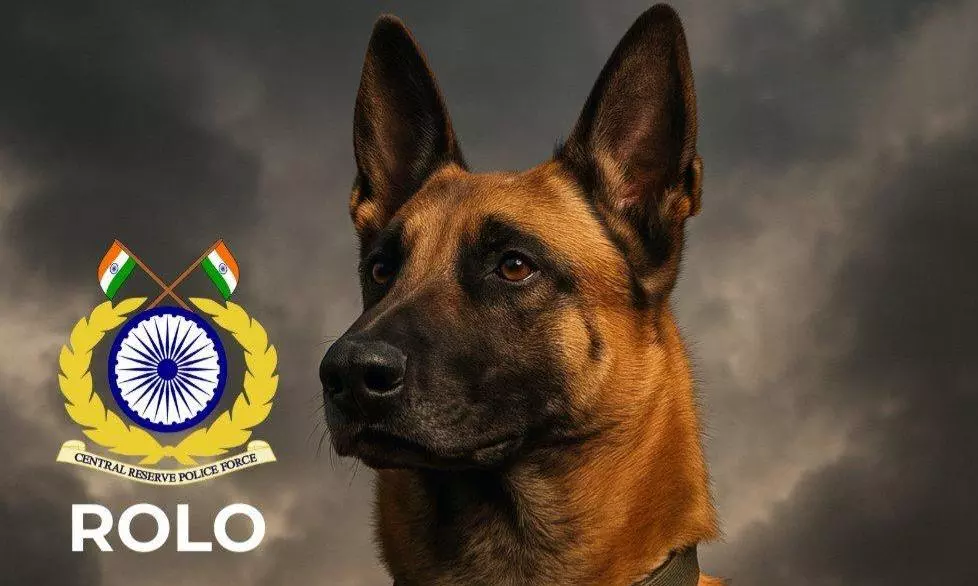 CRPF Bids Emotional Farewell To Canine Soldier Rolo