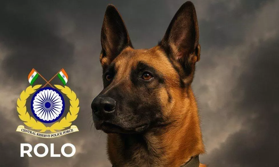 CRPF Bids Emotional Farewell To Canine Soldier Rolo