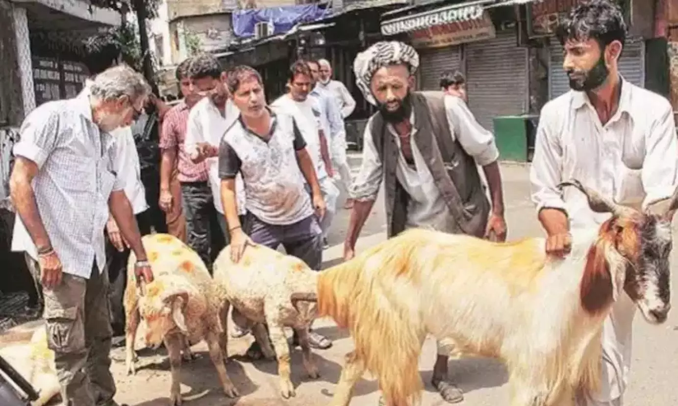Bombay HC Allows Animal Sacrifice At Vishalgad Fort Dargah For Bakri Eid, Urs Bombay HC Allows Animal Sacrifice At Vishalgad Fort Dargah For Bakri Eid, Urs