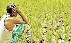 767 Farmers Committed Suicide In Maharashtra From January to March This Year 767 Farmers Committed Suicide In Maharashtra From January to March This Year