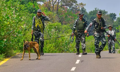 12 Naxals Surrender In Dantewada