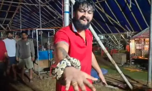 Odisha: Opera Actor Summoned For Using Live Python On Stage