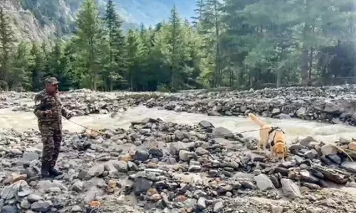 Army Dogs– Sara, Opana, Jansi, Hazel, June, and Rahi, Emerge Heroes in Uttarakhand Floods