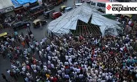 AA Edit | Spare A Thought For The Pigeons