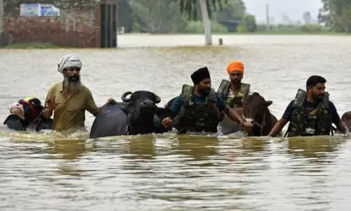 Modi to Visit Flood-hit Punjab, Himachal Pradesh on September 9