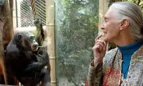 AA Edit | Goodall Explained Nature To World