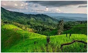 Jayanta Roy Chowdhury | Chittagong Hills Burning, As B’desh Frontier Crisis Builds