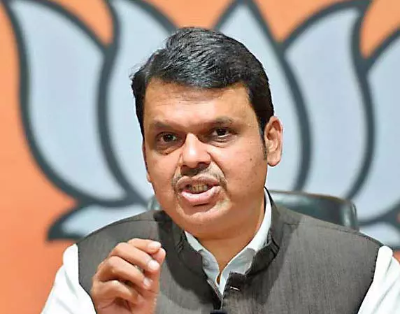 Maharashtra Cabinet Approves Bamboo Policy 2025