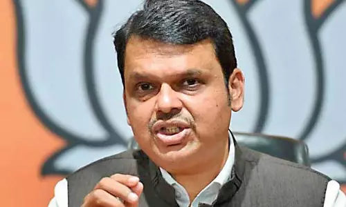 Maharashtra Cabinet Approves Bamboo Policy 2025 Maharashtra Cabinet Approves Bamboo Policy 2025