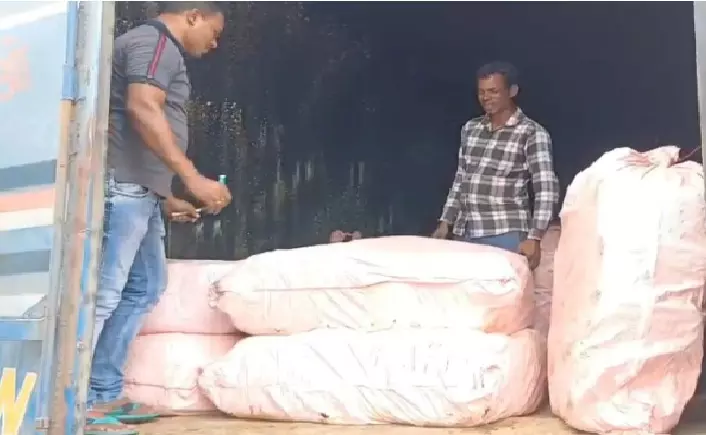 Malkangiri Police Seizes Ganja worth Rs 17 Crore in 24 Hours; 3 UP Mafia Held Malkangiri Police Seizes Ganja worth Rs 17 Crore in 24 Hours; 3 UP Mafia Held