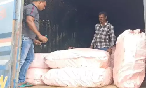 Malkangiri Police Seizes Ganja worth Rs 17 Crore in 24 Hours; 3 UP Mafia Held Malkangiri Police Seizes Ganja worth Rs 17 Crore in 24 Hours; 3 UP Mafia Held
