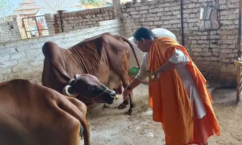 Eyeing 2029 LS Polls Ticket, Uma Launches Cow Protection Campaign in Madhya Pradesh Eyeing 2029 LS Polls Ticket, Uma Launches Cow Protection Campaign in Madhya Pradesh