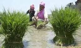 Farmers Led By Ex-MLA block Nagpur–Hyderabad Highway For Loan Waiver; HC Steps In Farmers Led By Ex-MLA block Nagpur–Hyderabad Highway For Loan Waiver; HC Steps In