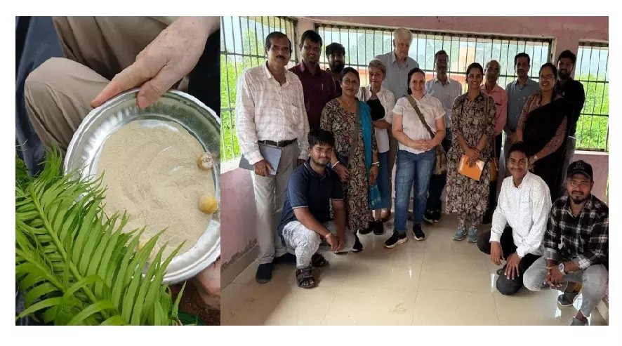 AIIMS Bhubaneswar Launches Pioneering Research on Cycad Toxicology amid Concerns AIIMS Bhubaneswar Launches Pioneering Research on Cycad Toxicology amid Concerns
