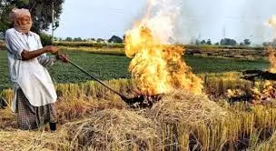 SC Pulls Up Punjab, Haryana Over Stubble Burning