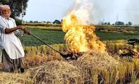 SC Pulls Up Punjab, Haryana Over Stubble Burning