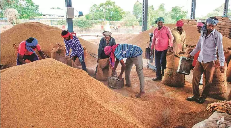 Odisha to Begin Kharif Paddy Procurement from Nov 20 Odisha to Begin Kharif Paddy Procurement from Nov 20
