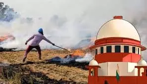 AA Edit | NCR Bad Air: Don’t Blame Farmers