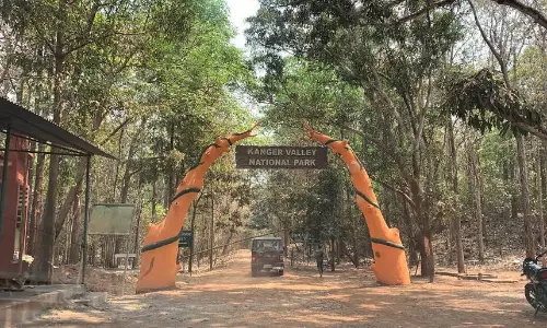 Chhattisgarh’s Kanger Valley National Park Eyes UNESCO World Heritage Site Status