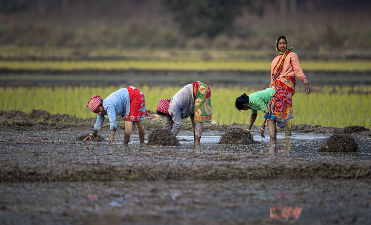 Suman Sahai | Women Farmers Are So Critical: It’s Time To Empower Them...
