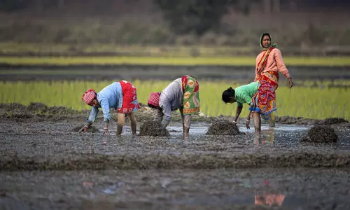 Suman Sahai | Women Farmers Are So Critical: It’s Time To Empower Them Worldwide