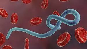 AA Edit | Aid Cuts Trigger Crisis Over Ebola AA Edit | Aid Cuts Trigger Crisis Over Ebola